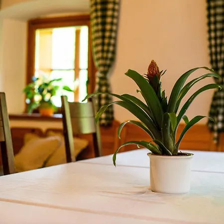 Traditional Homestead Guhar In Radovna Holiday home