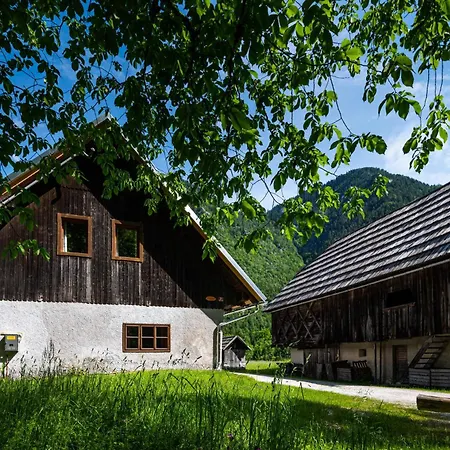 Holiday home Traditional Homestead Guhar In Radovna