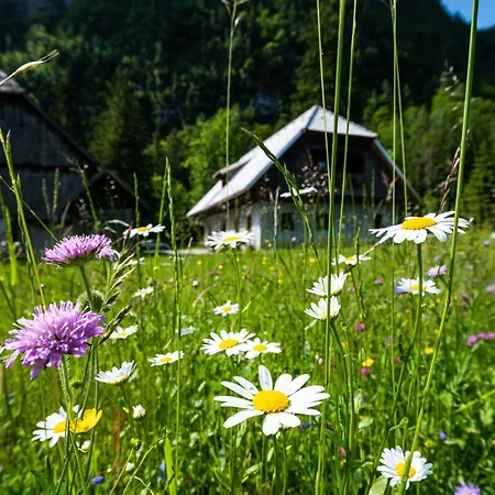 Traditional Homestead Guhar In Radovna Holiday home Mojstrana