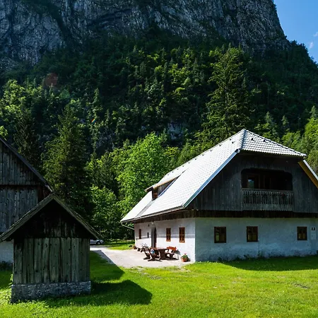 Traditional Homestead Guhar In Radovna Mojstrana