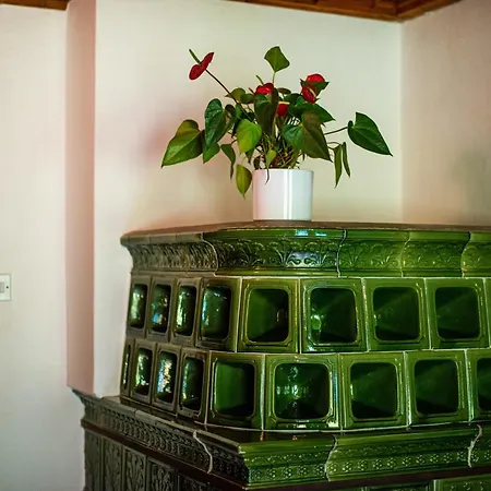 Traditional Homestead Guhar In Radovna Holiday home Mojstrana