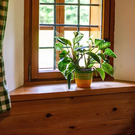 Vakantiehuis Traditional Homestead Guhar In Radovna *