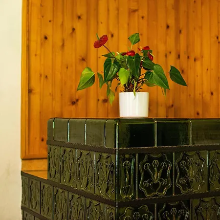 Traditional Homestead Guhar In Radovna Holiday home