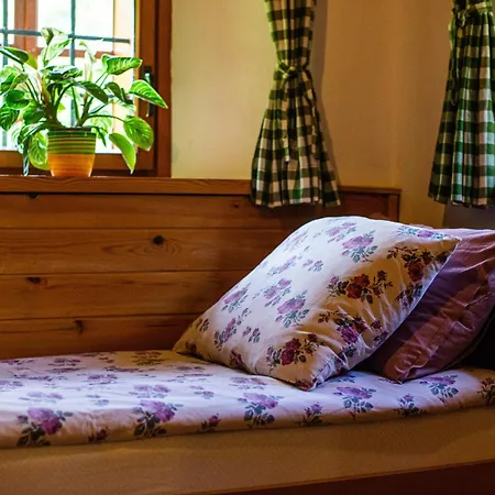 Traditional Homestead Guhar In Radovna Mojstrana