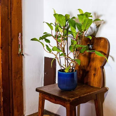 Holiday home Traditional Homestead Guhar In Radovna *