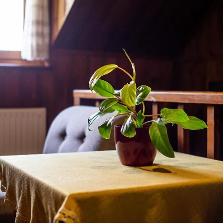 Traditional Homestead Guhar In Radovna *