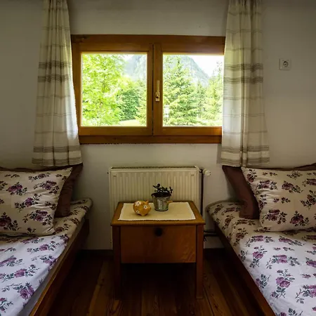 Traditional Homestead Guhar In Radovna Holiday home