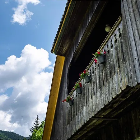 Traditional Homestead Guhar In Radovna Holiday home Mojstrana
