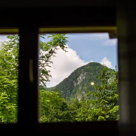 Traditional Homestead Guhar In Radovna * Mojstrana