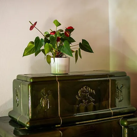 Traditional Homestead Guhar In Radovna Vakantiehuis Mojstrana