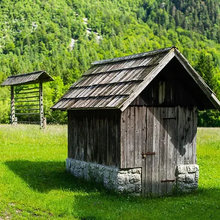 Traditional Homestead Guhar In Radovna *