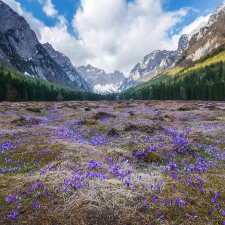 Traditional Homestead Guhar In Radovna Casa vacanze