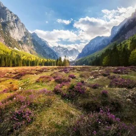Traditional Homestead Guhar In Radovna * Mojstrana