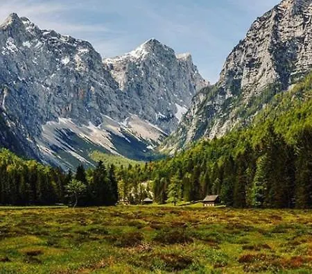 Holiday home Traditional Homestead Guhar In Radovna *
