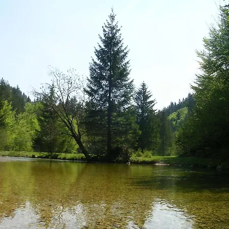Traditional Homestead Guhar In Radovna * Mojstrana