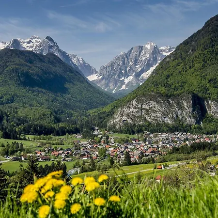 Traditional Homestead Guhar In Radovna Holiday home Mojstrana