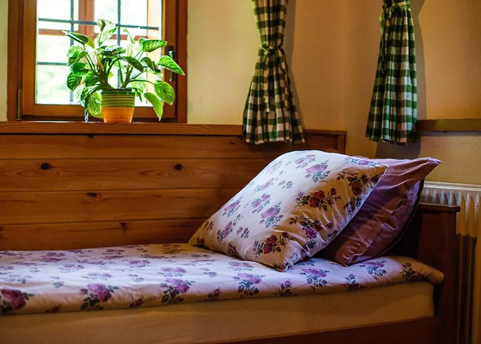 Traditional Homestead Guhar In Radovna Мойстрана