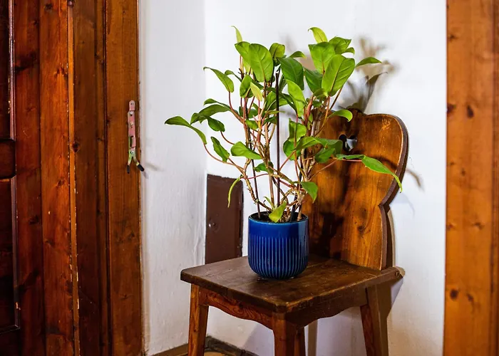 Prázdninový dům Traditional Homestead Guhar In Radovna *