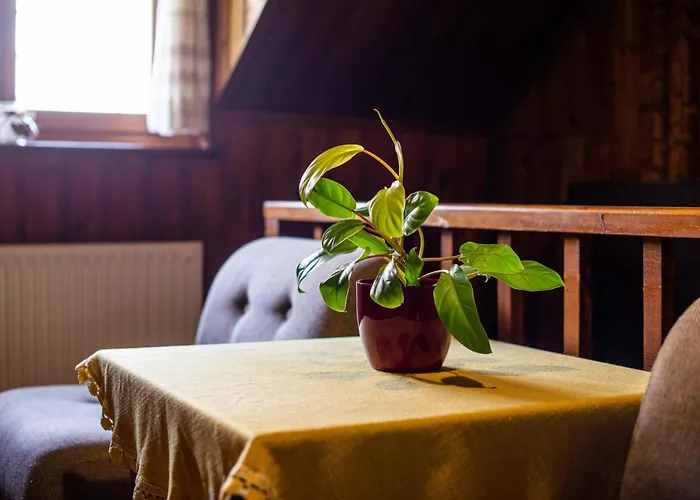 Traditional Homestead Guhar In Radovna *