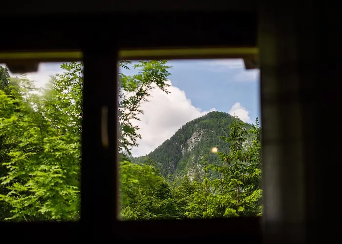 Traditional Homestead Guhar In Radovna * Мойстрана