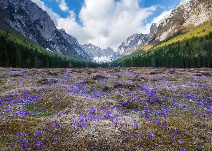 Traditional Homestead Guhar In Radovna Prázdninový dům
