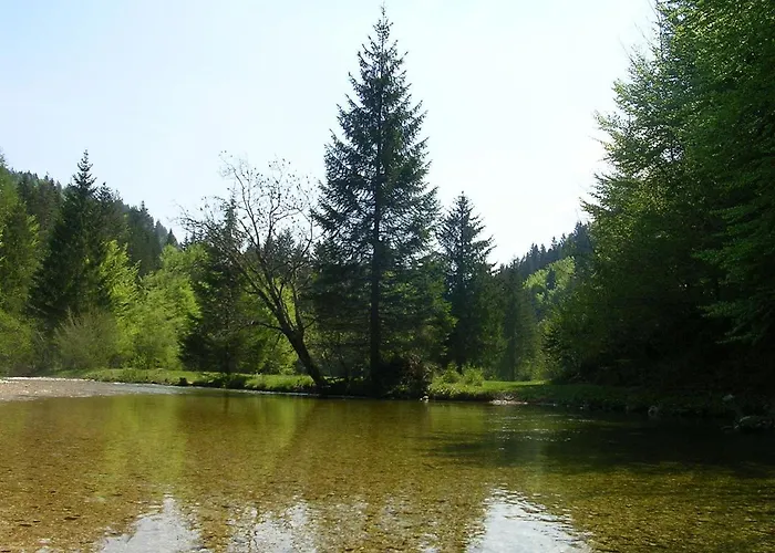 Traditional Homestead Guhar In Radovna * Mojstrana