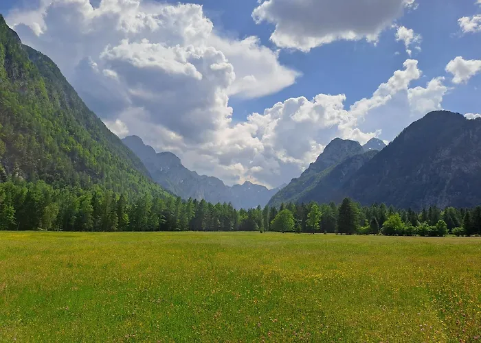 Дом отдыха Traditional Homestead Guhar In Radovna *